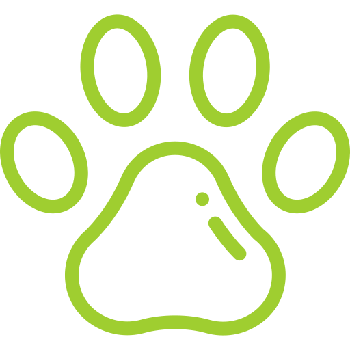 بالقرب من حديقة الحيوان